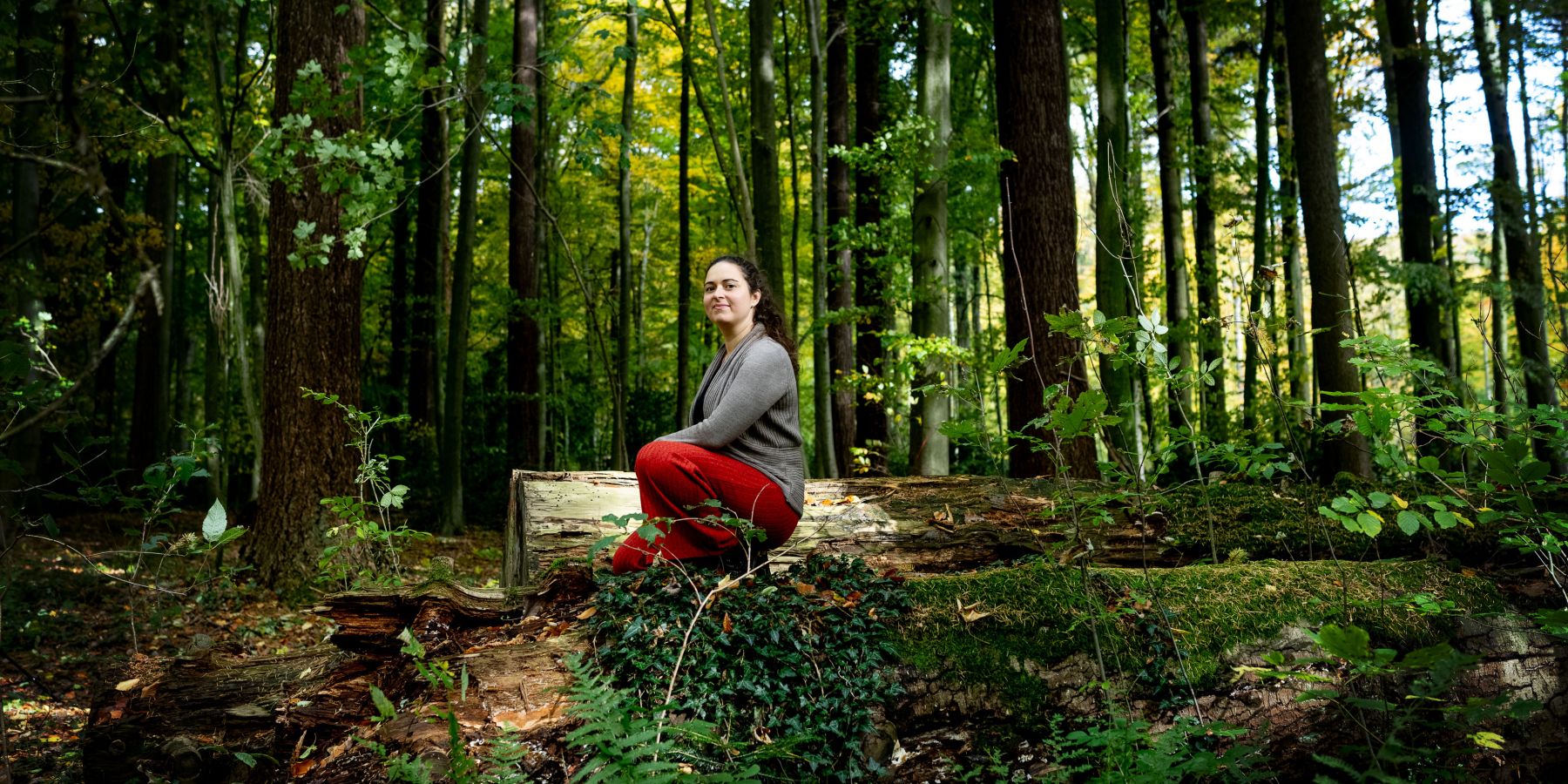 Businessfotos im Wald