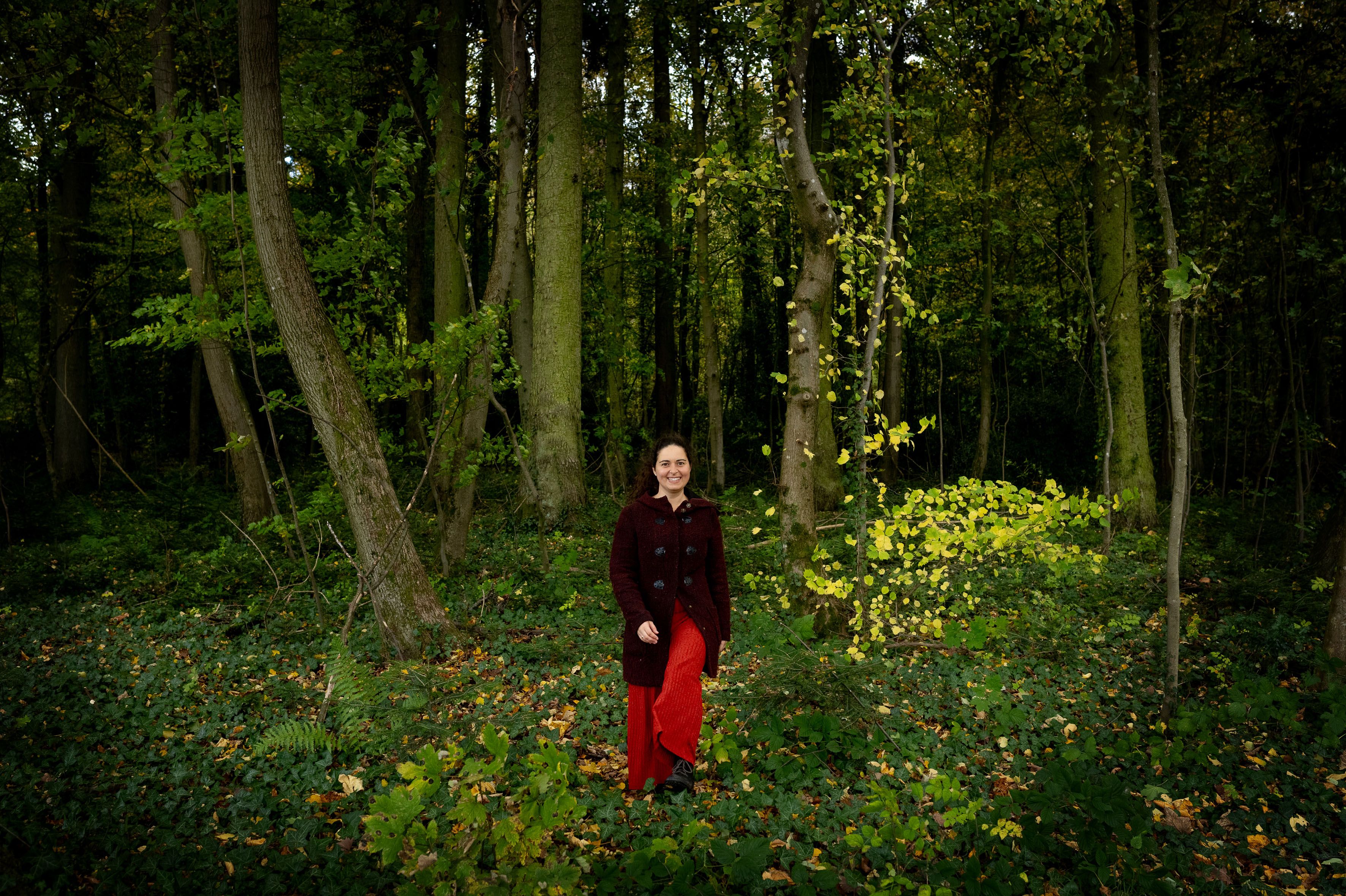 Businessfotos im Wald