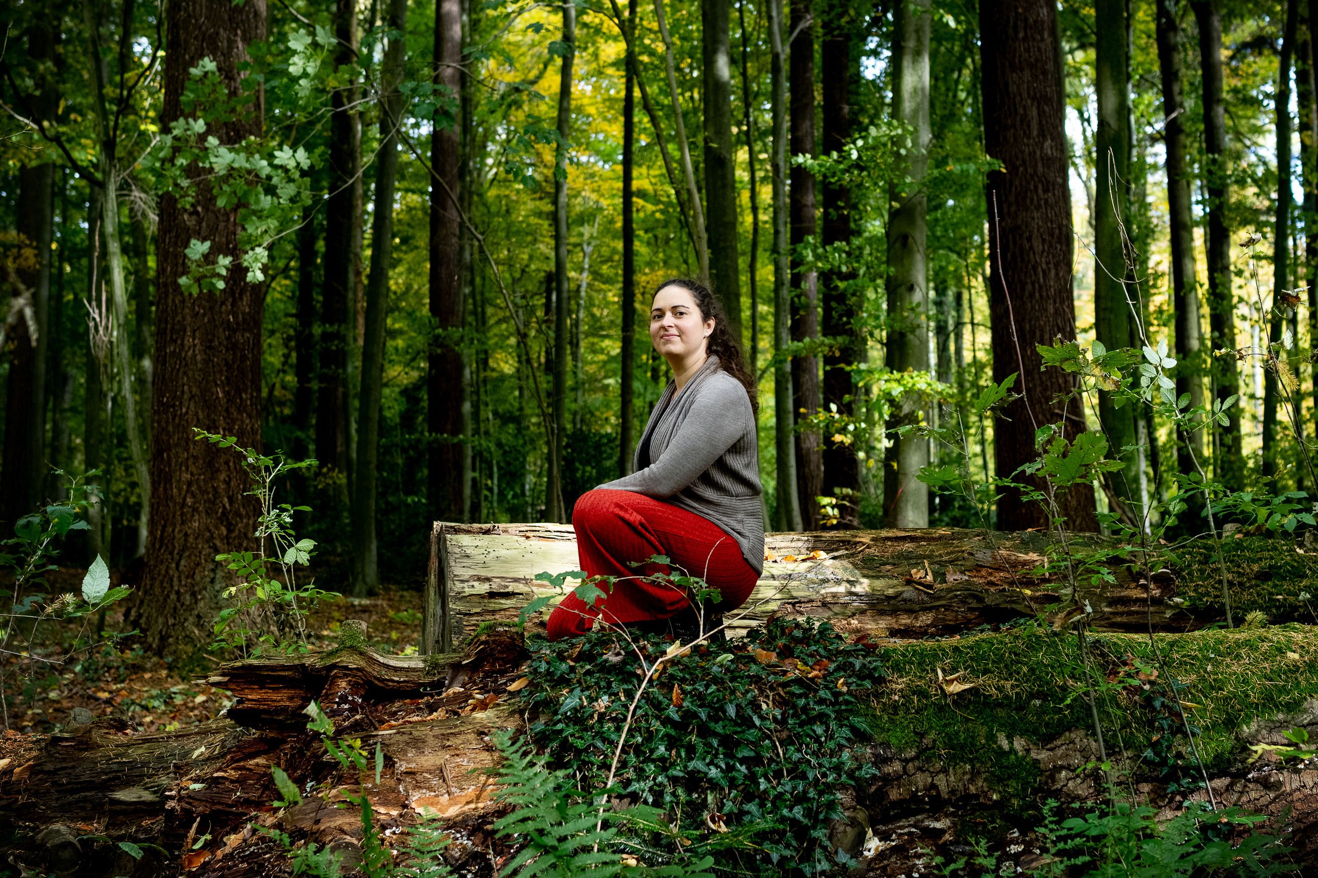 Businessfotos im Wald